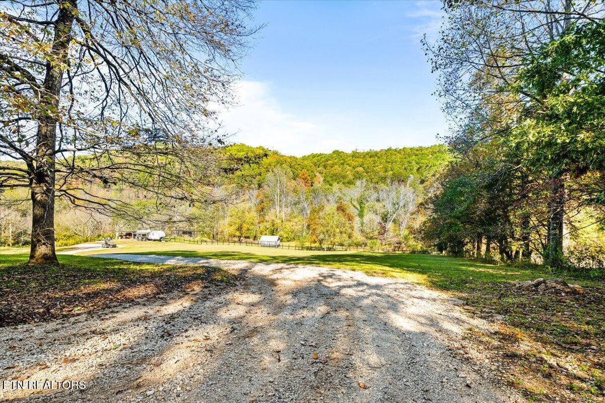 Image 4: gravel-driveway-norris-lake-acreage