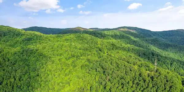 Mountain Rd