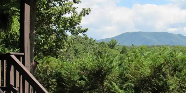 Image 2: View