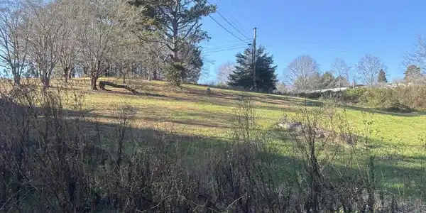 WALNUT CIRCLE
