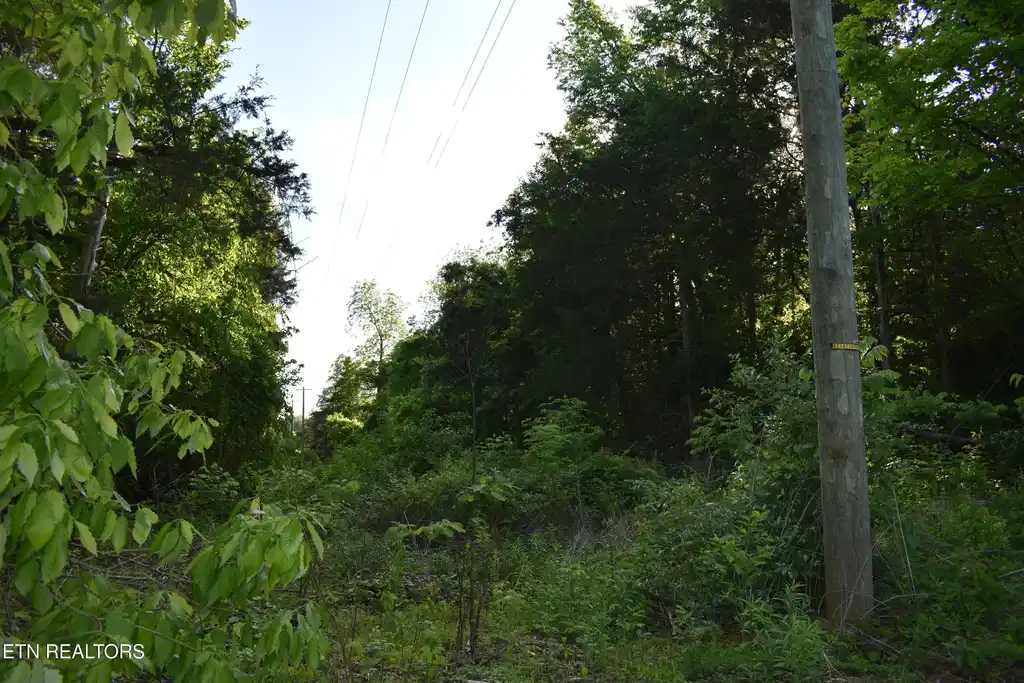 Image 1: 1