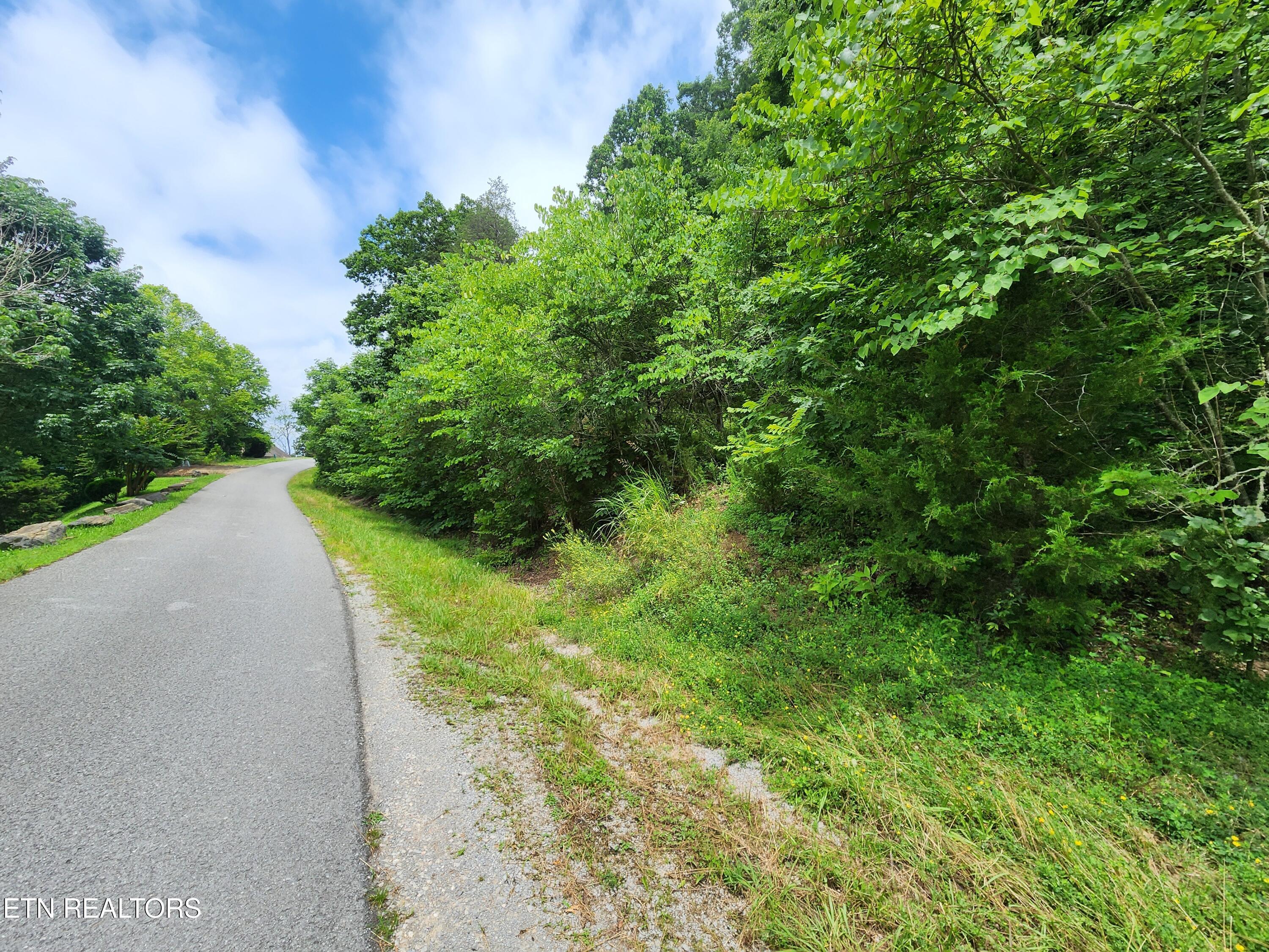 Image 2: At the road