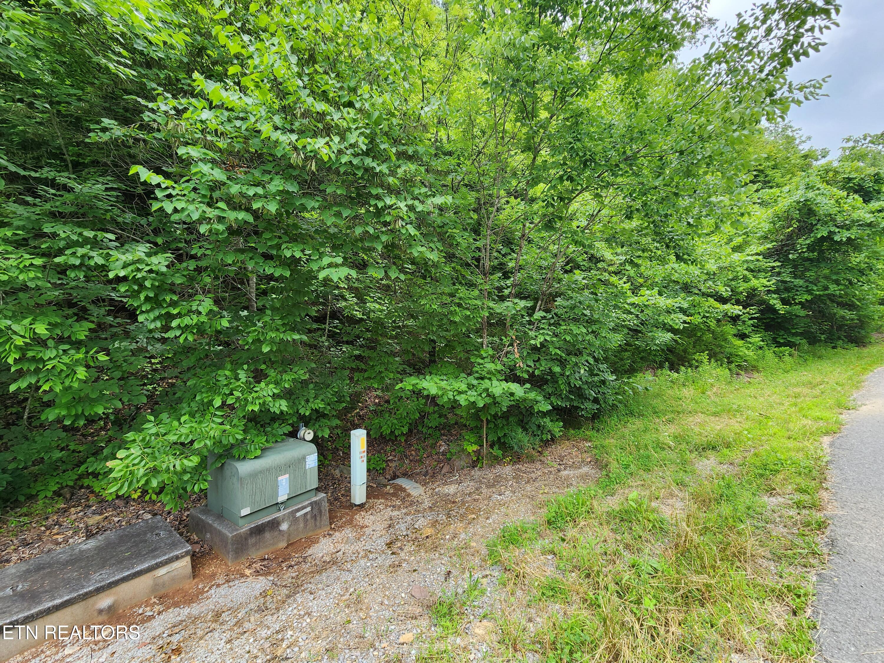 Image 3: Utilities at the road