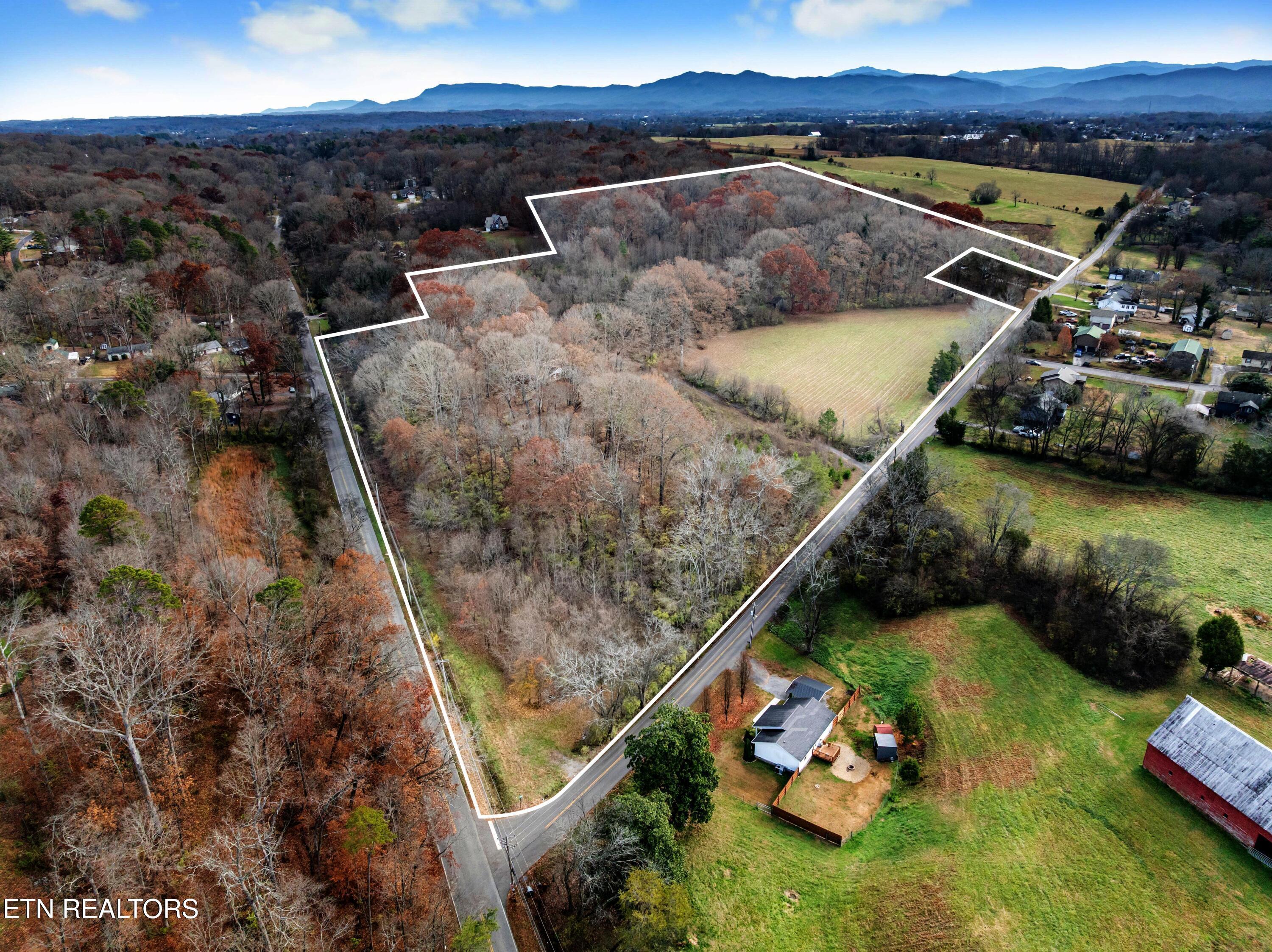 Image 4: PL2 NO TEXT