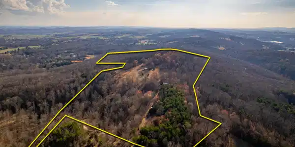 Image 4: Approx boundary lines