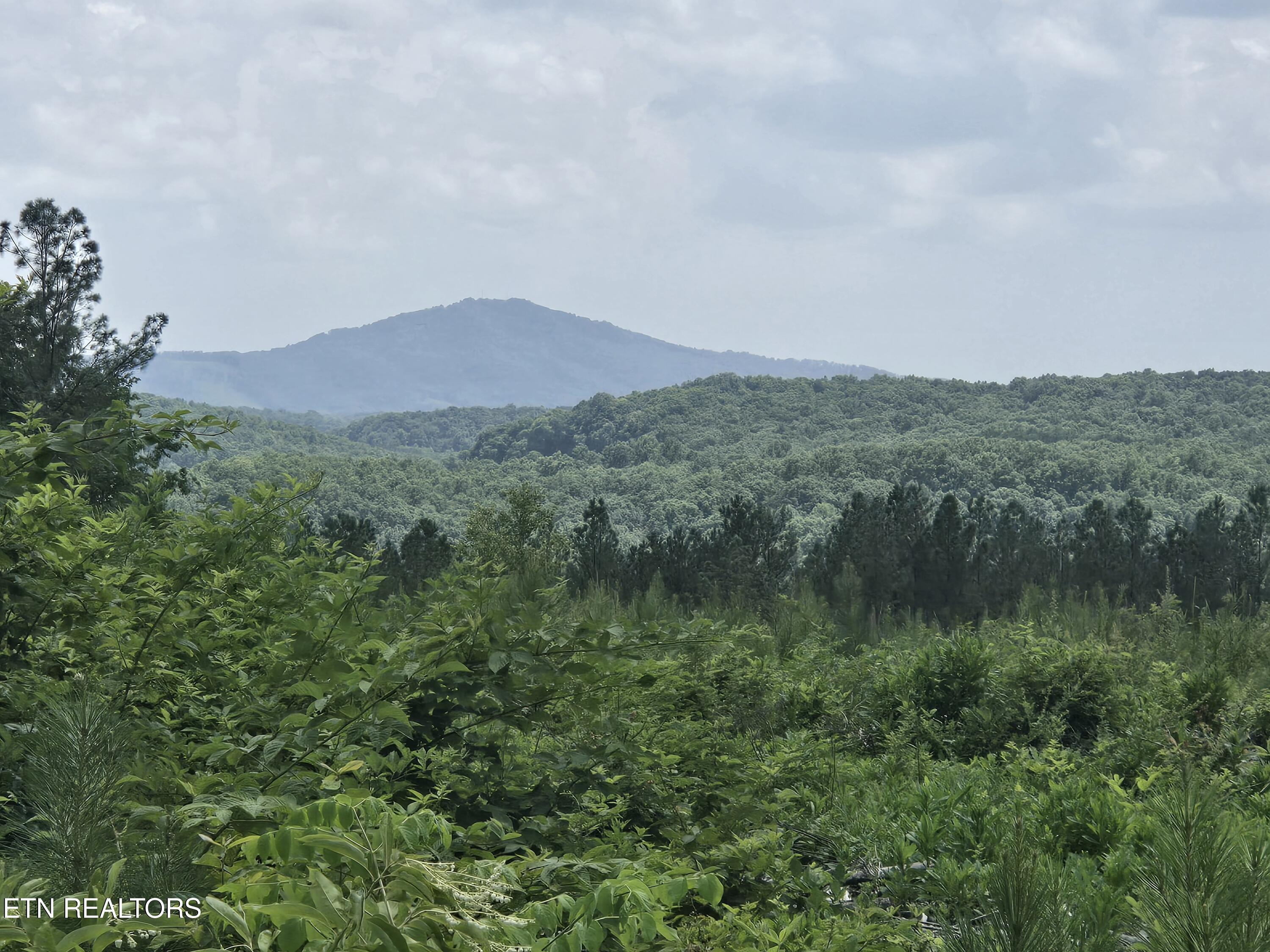 Image 3: 20260703_143540