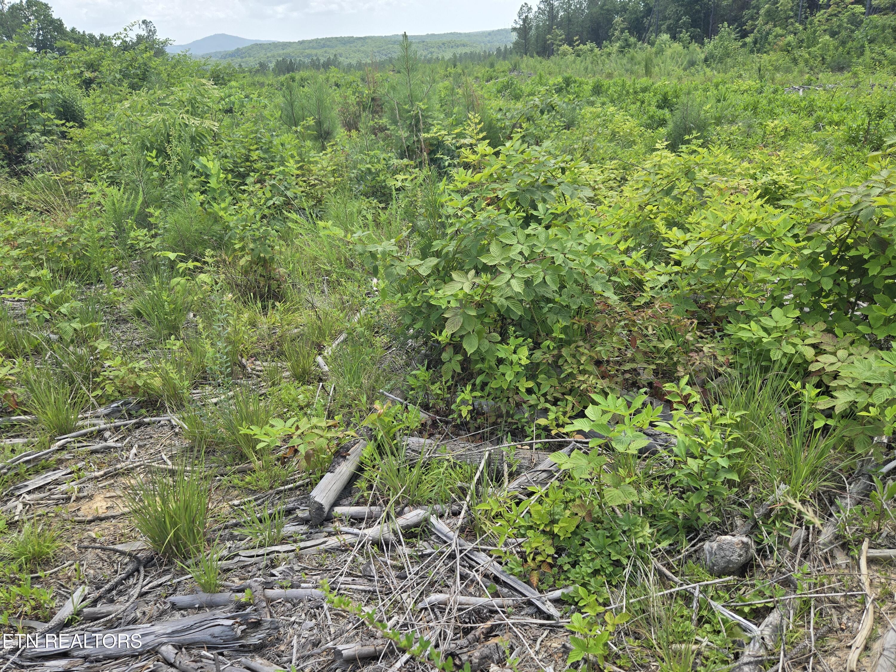 Image 4: 20260703_143558