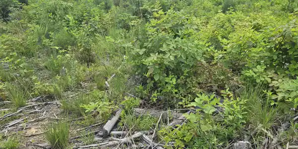 Image 4: 20260703_143558