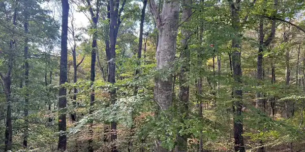 0 Brady Rd