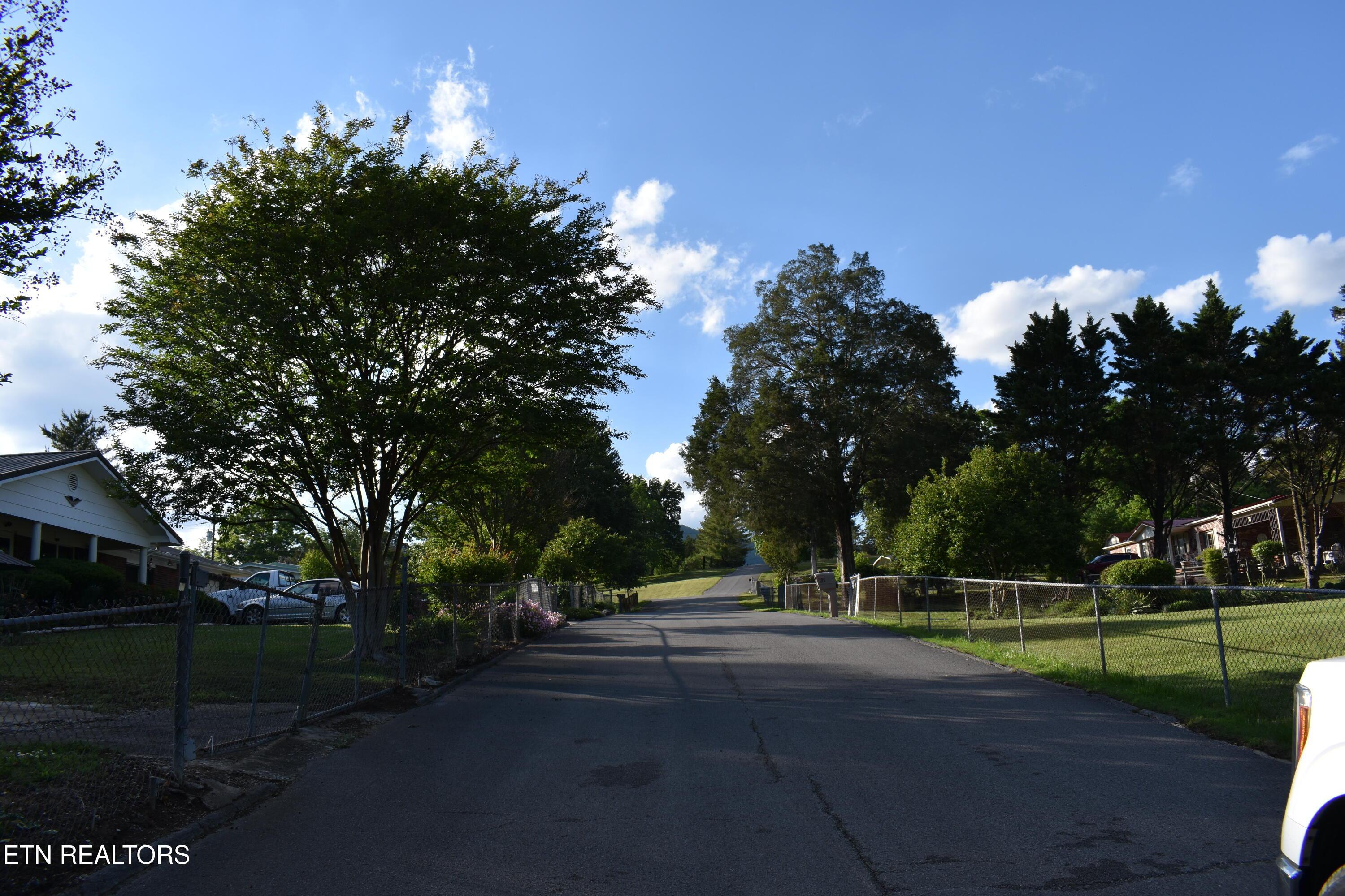 Image 4: 4