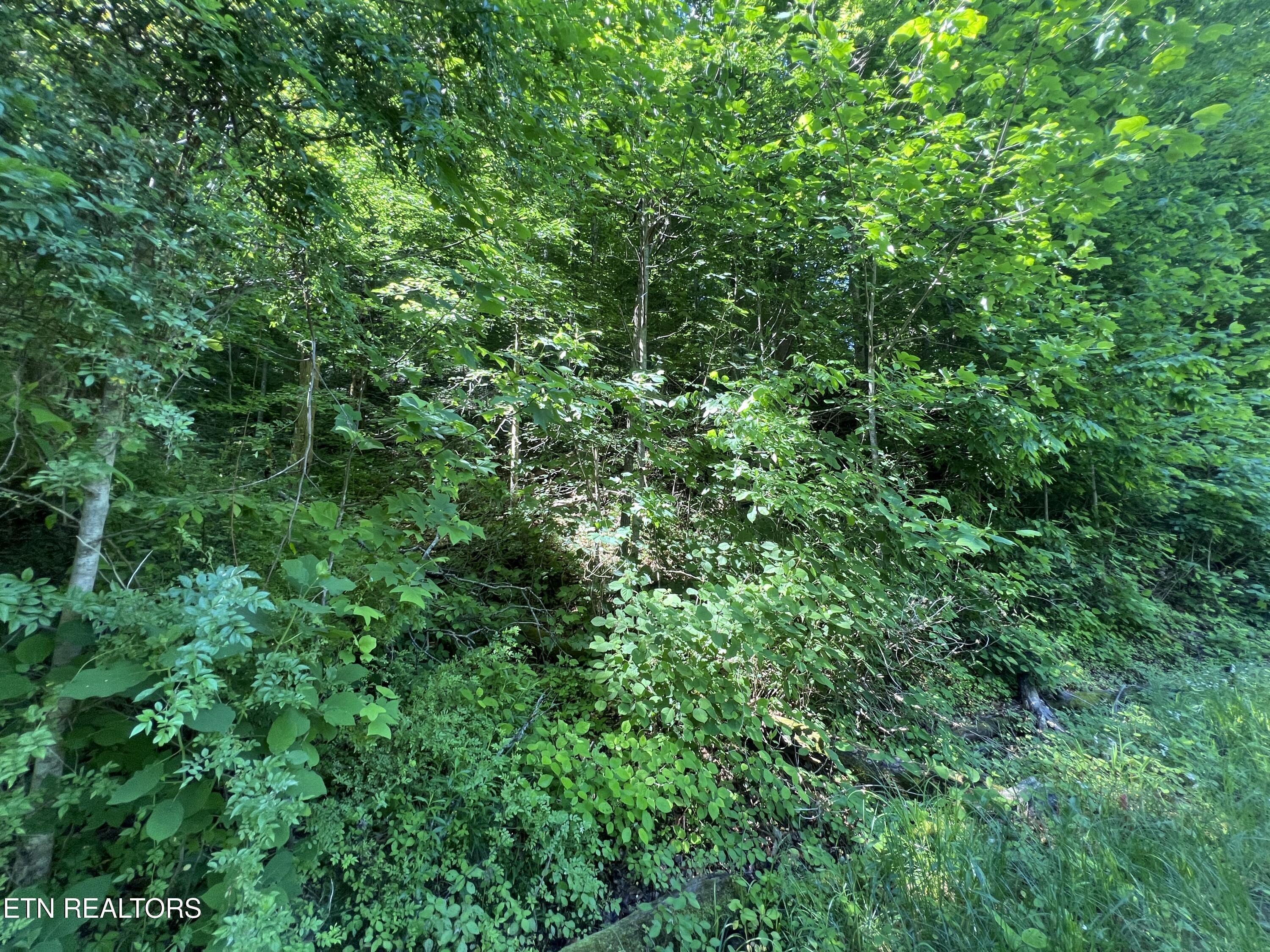 Image 2: IMG_8412