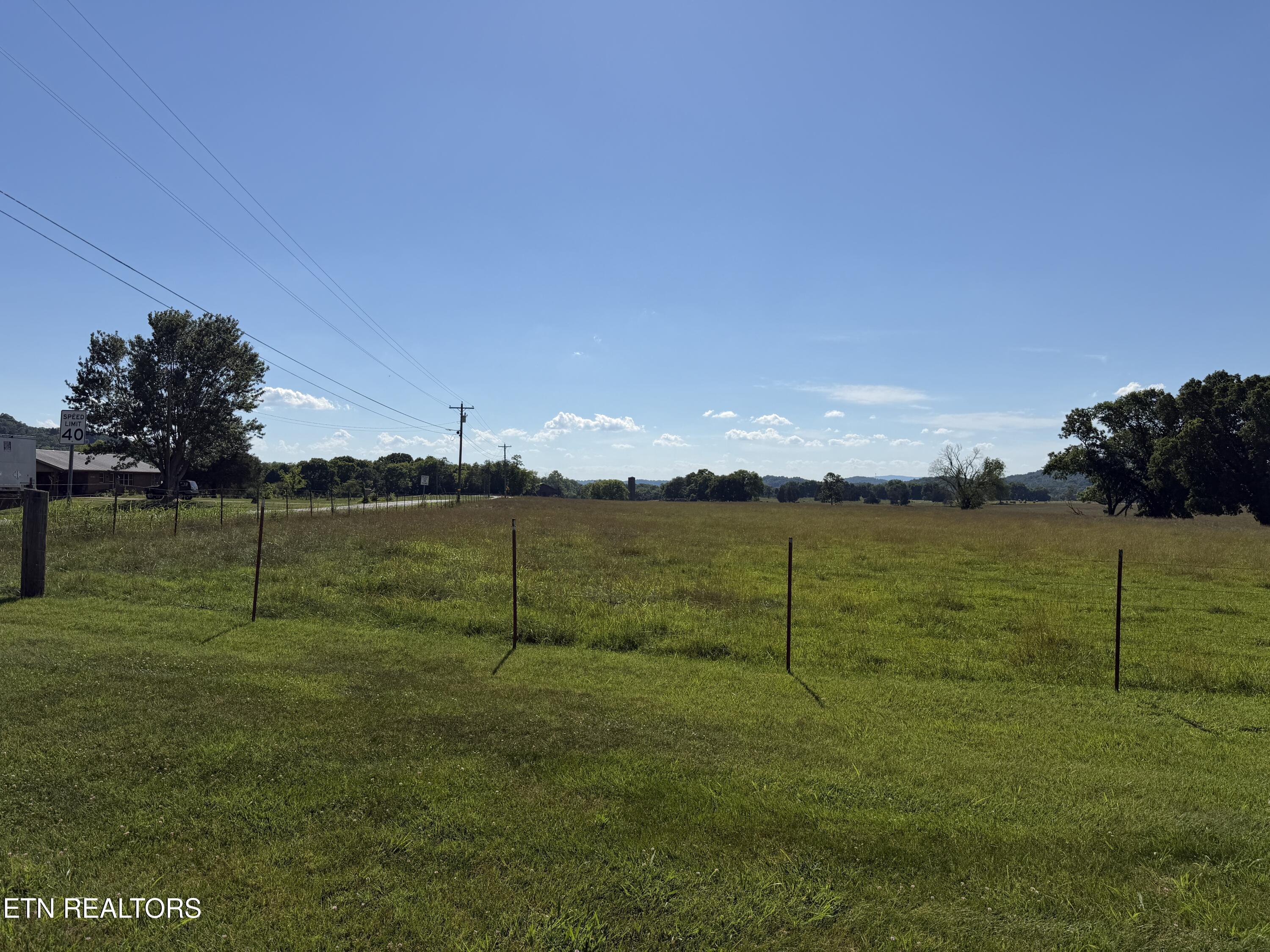 Image 2: IMG_3006