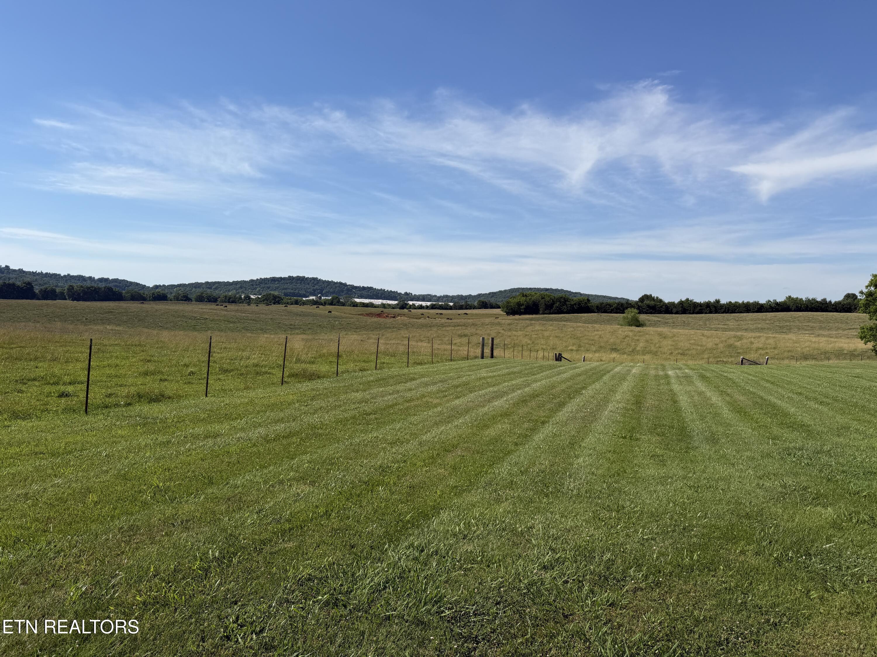 Image 4: IMG_3008