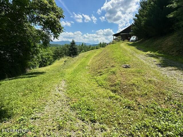 Image 2: Kizzy patch1