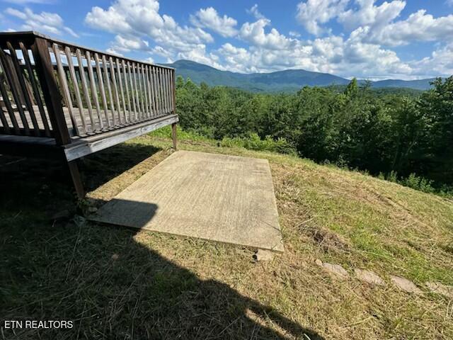 Image 4: Kizzy patch4