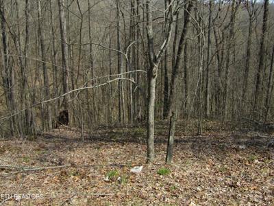4.71ac Hunters S Landing Lane