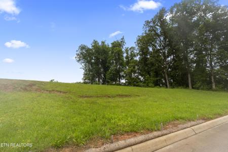 1157 Houston Springs Rd