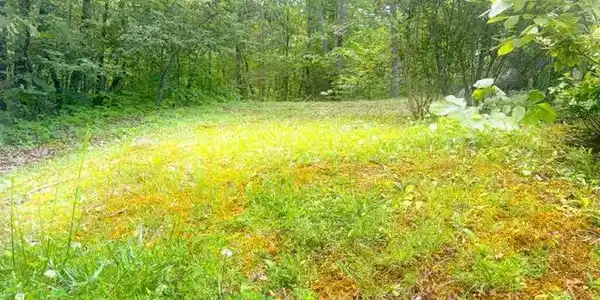 Image 3: LEVEL BUILD SITE