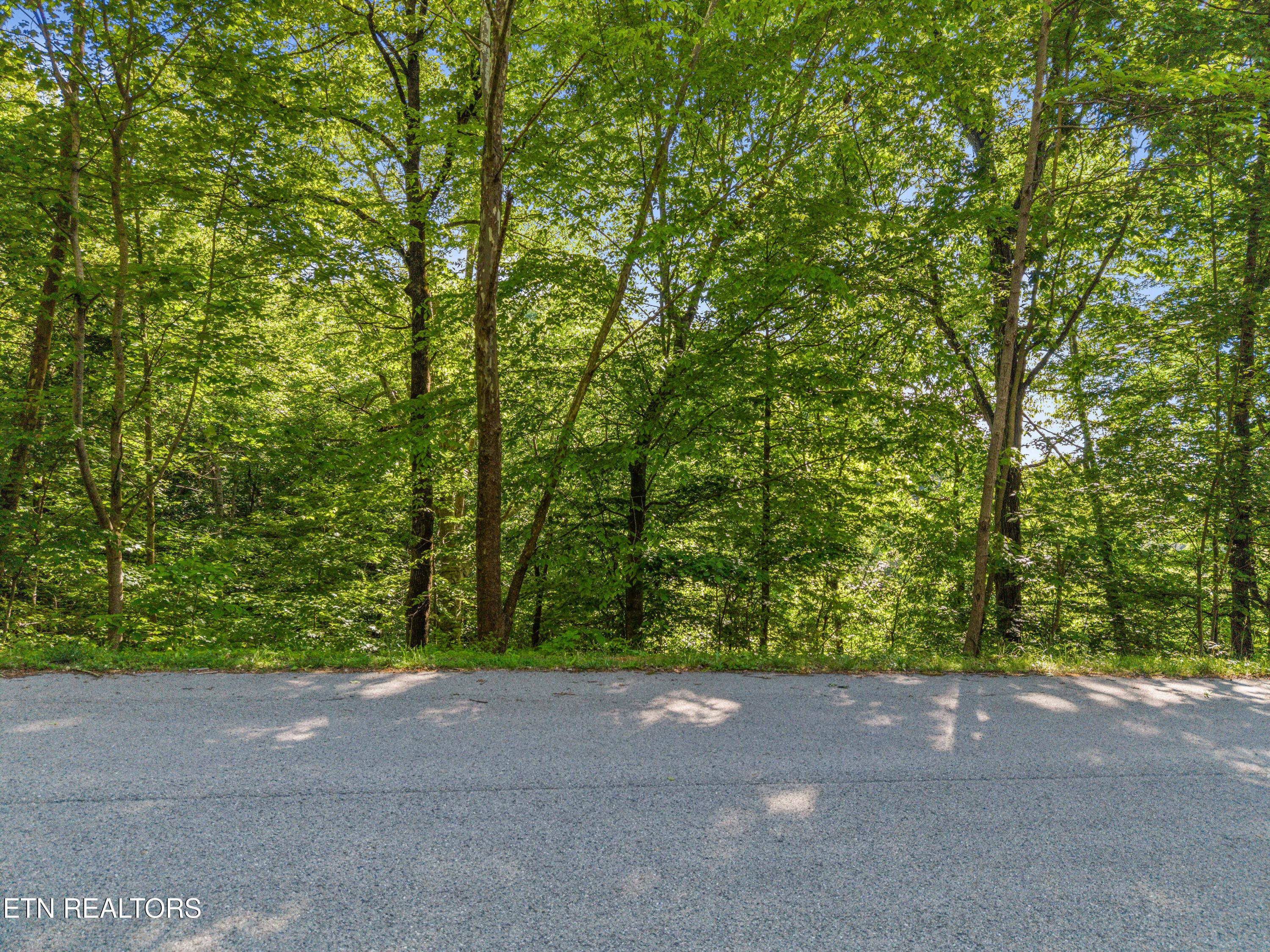Image 2: Garfield Ln_006