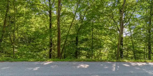 Image 2: Garfield Ln_006