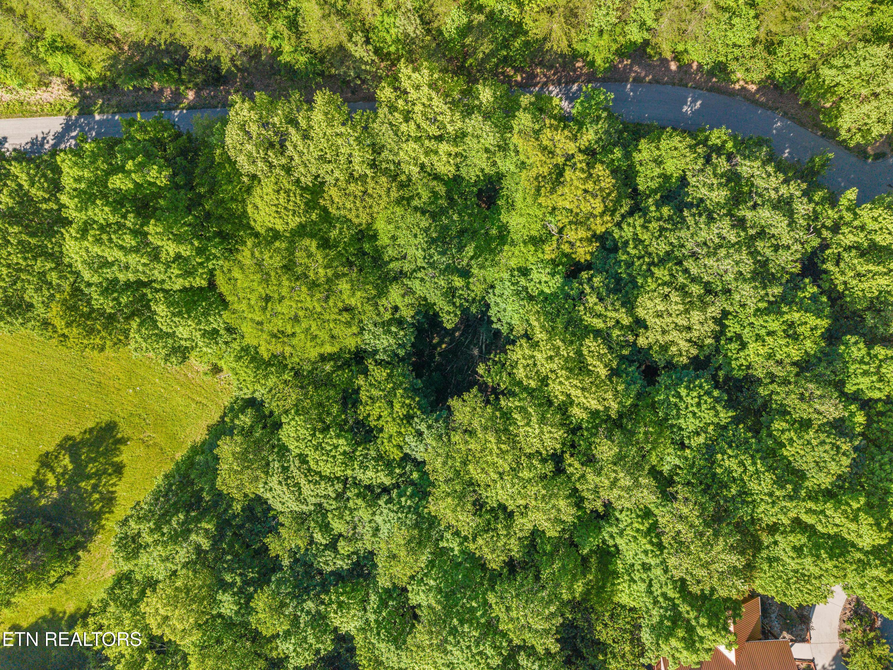 Image 3: Garfield Ln_008