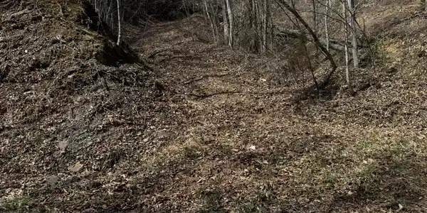 TBD Cave Springs Rd