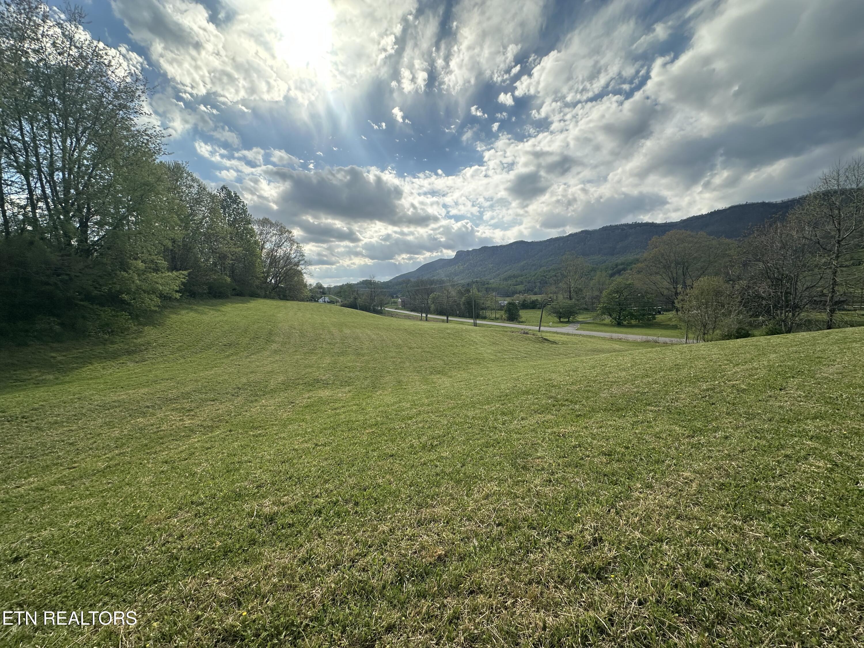 Image 2: IMG_1686