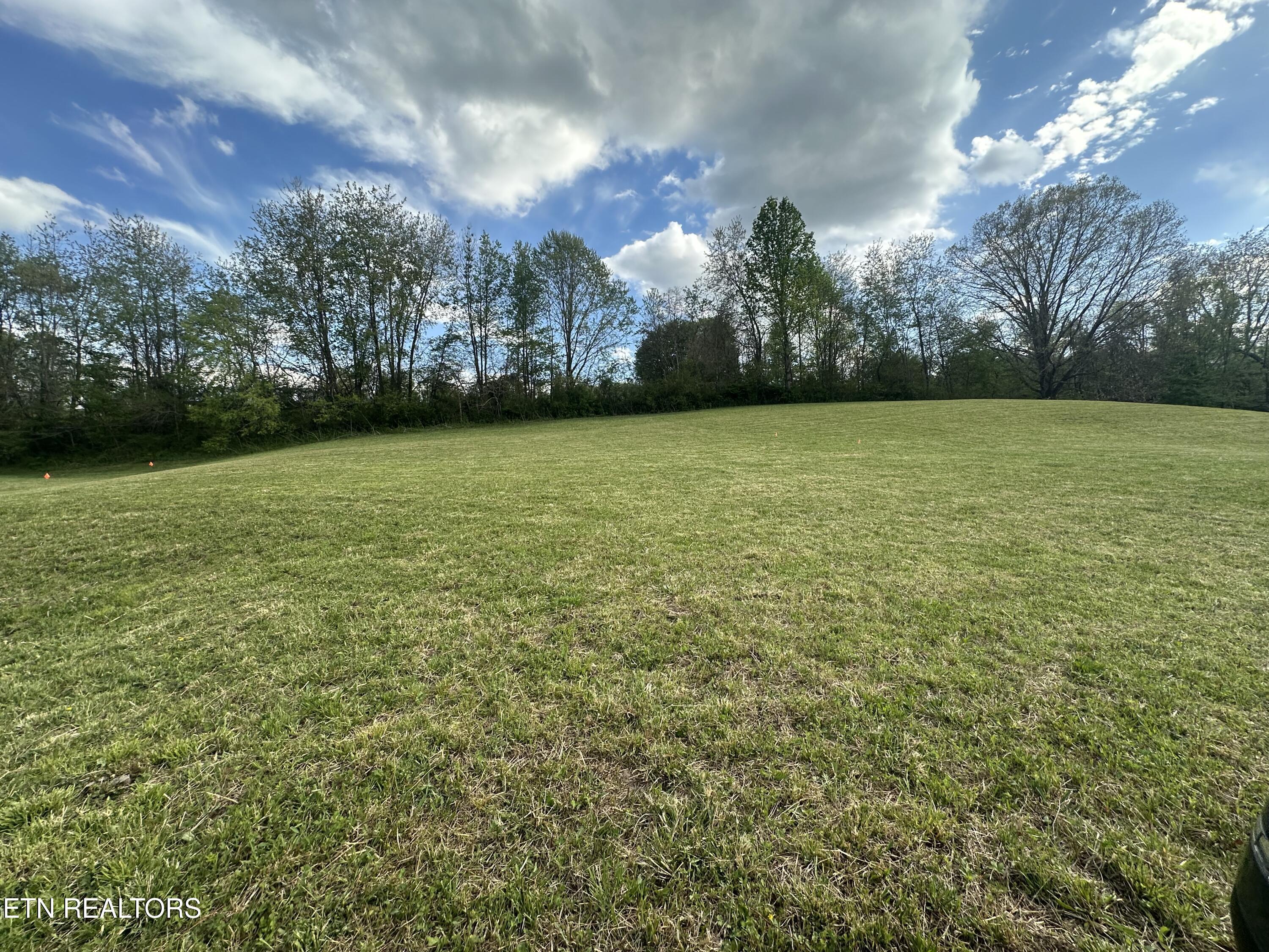 Image 3: IMG_1692