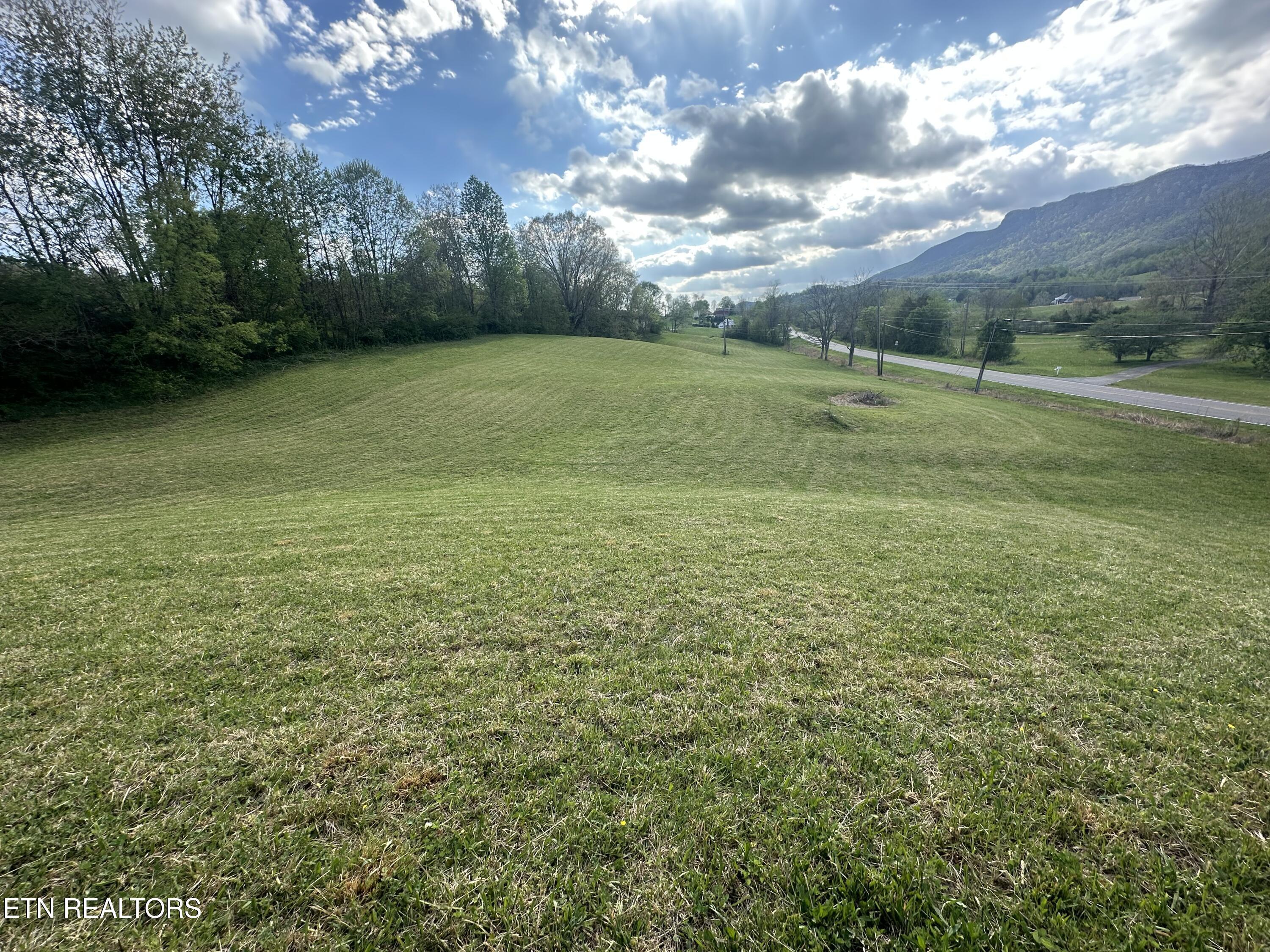 Image 4: IMG_1688
