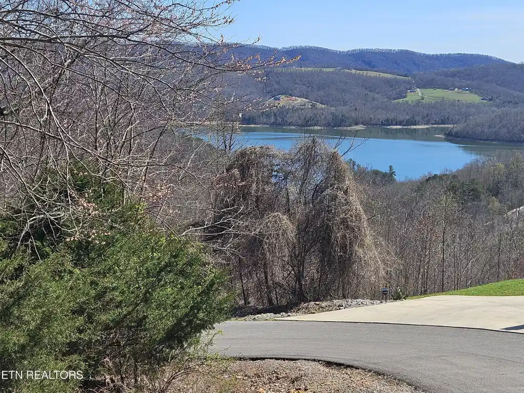 Image 1: clear some trees for lake view