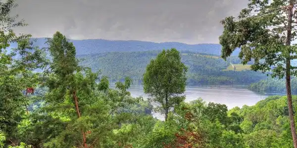 Image 2: W/Trimming lake view