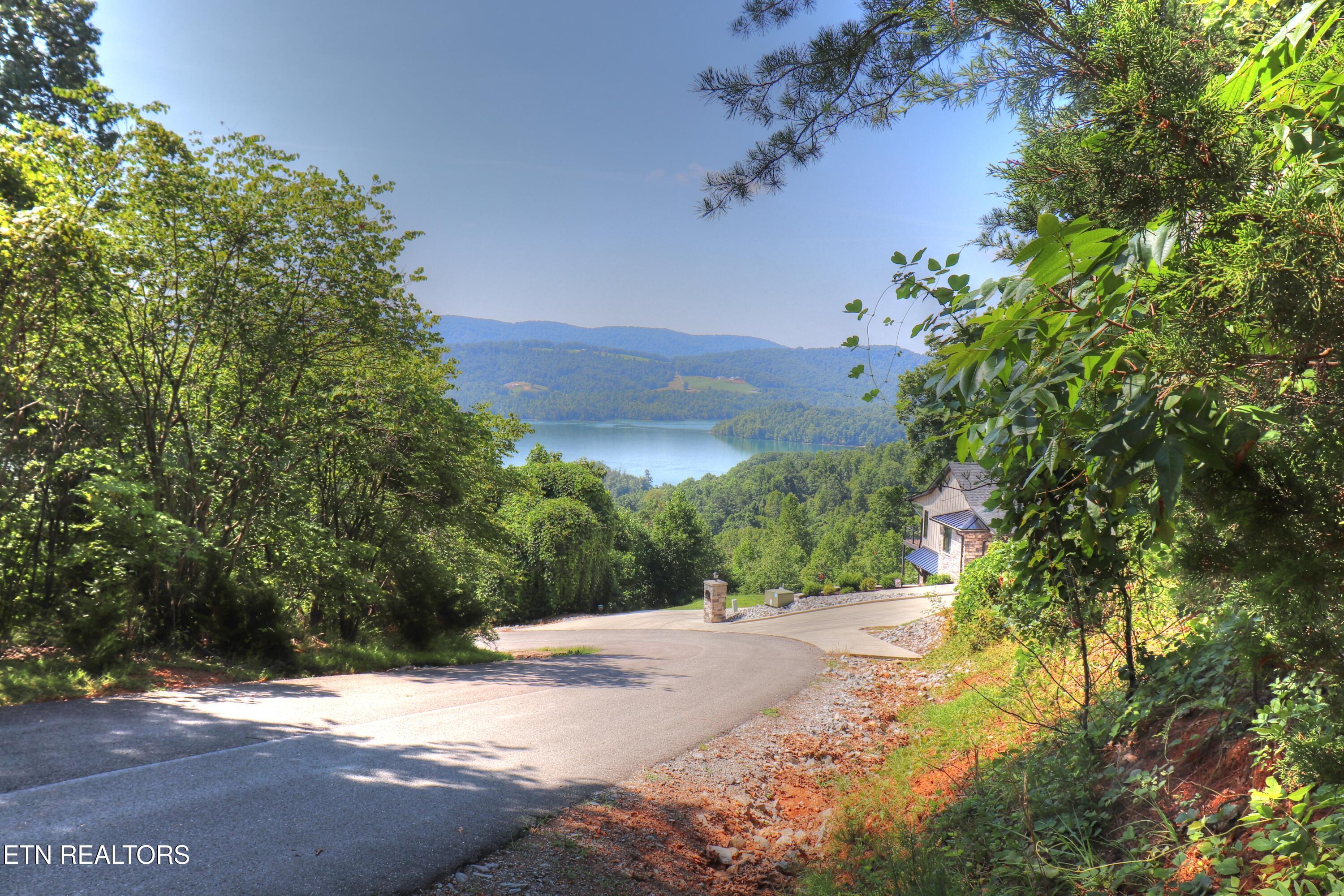 Image 3: View from upper street