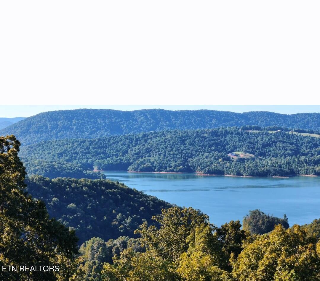 Image 4: Views from community