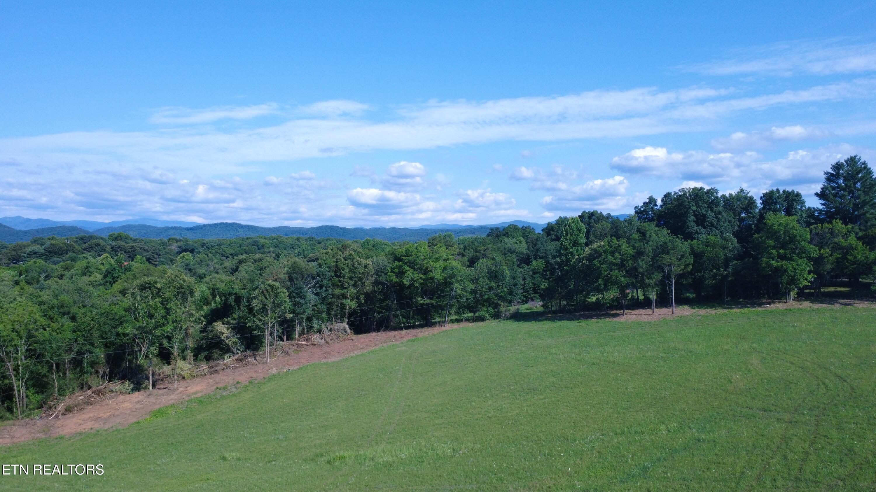 Image 2: DJI_0319