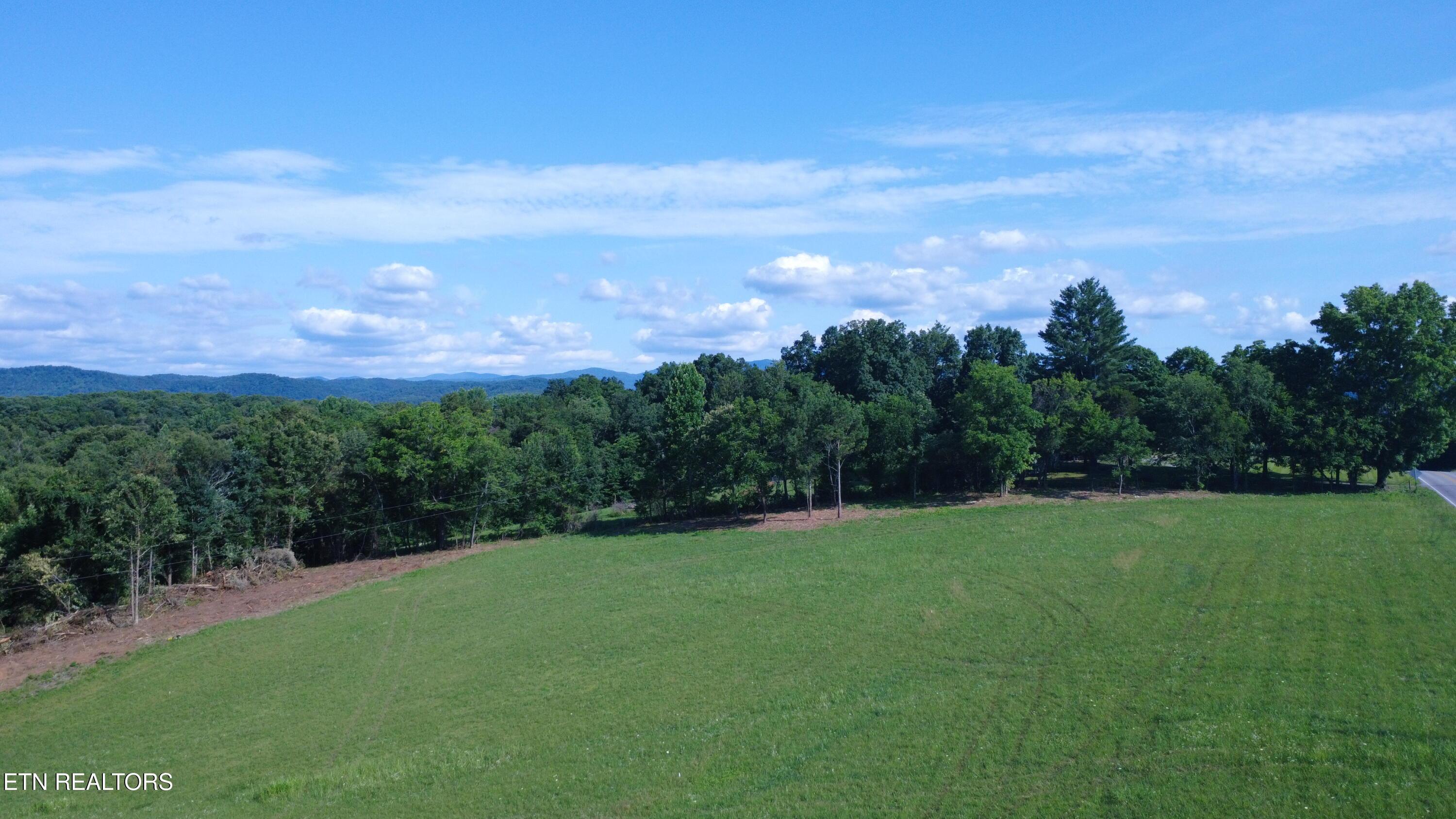 Image 3: DJI_0318