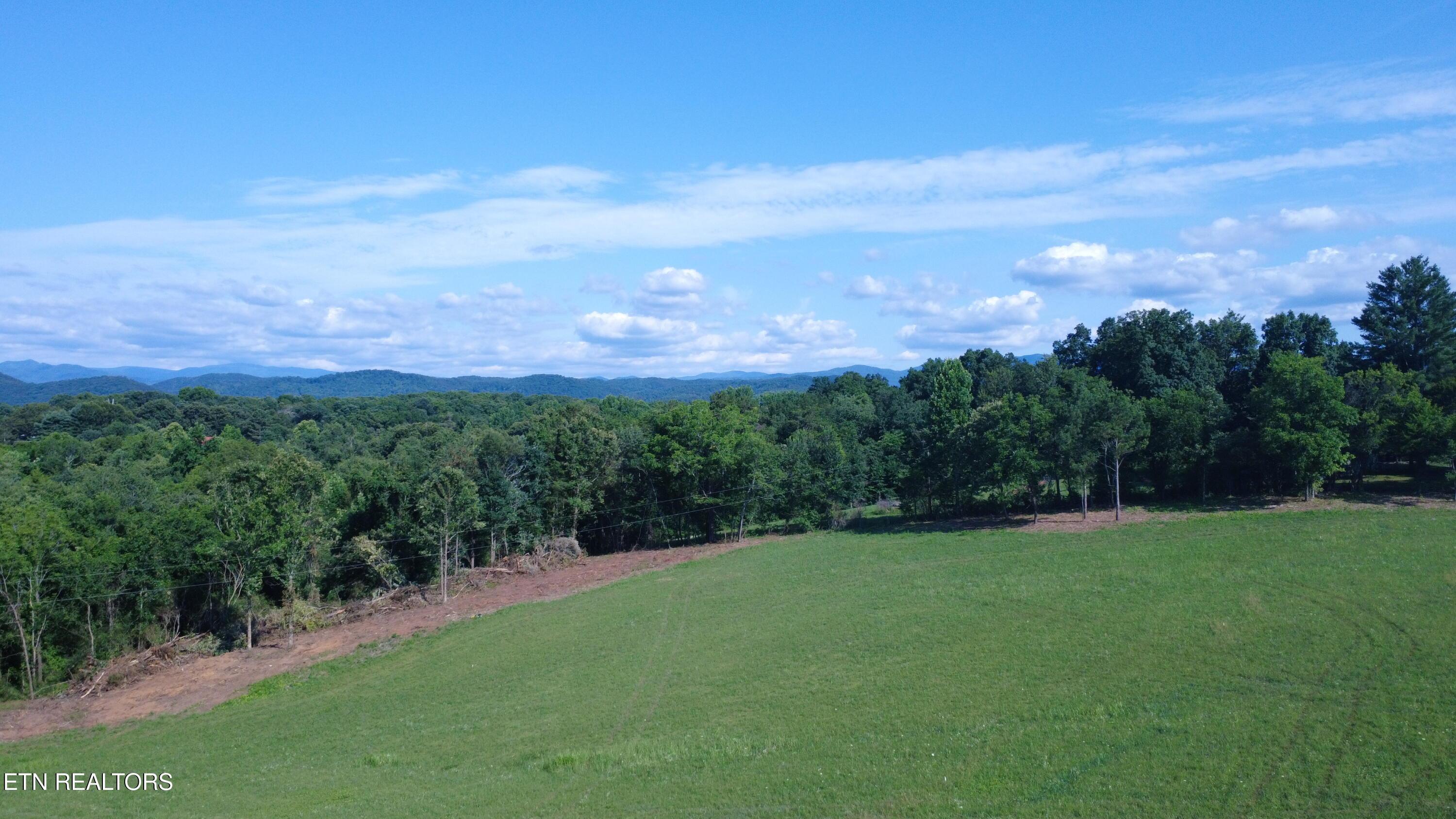 Image 4: DJI_0320