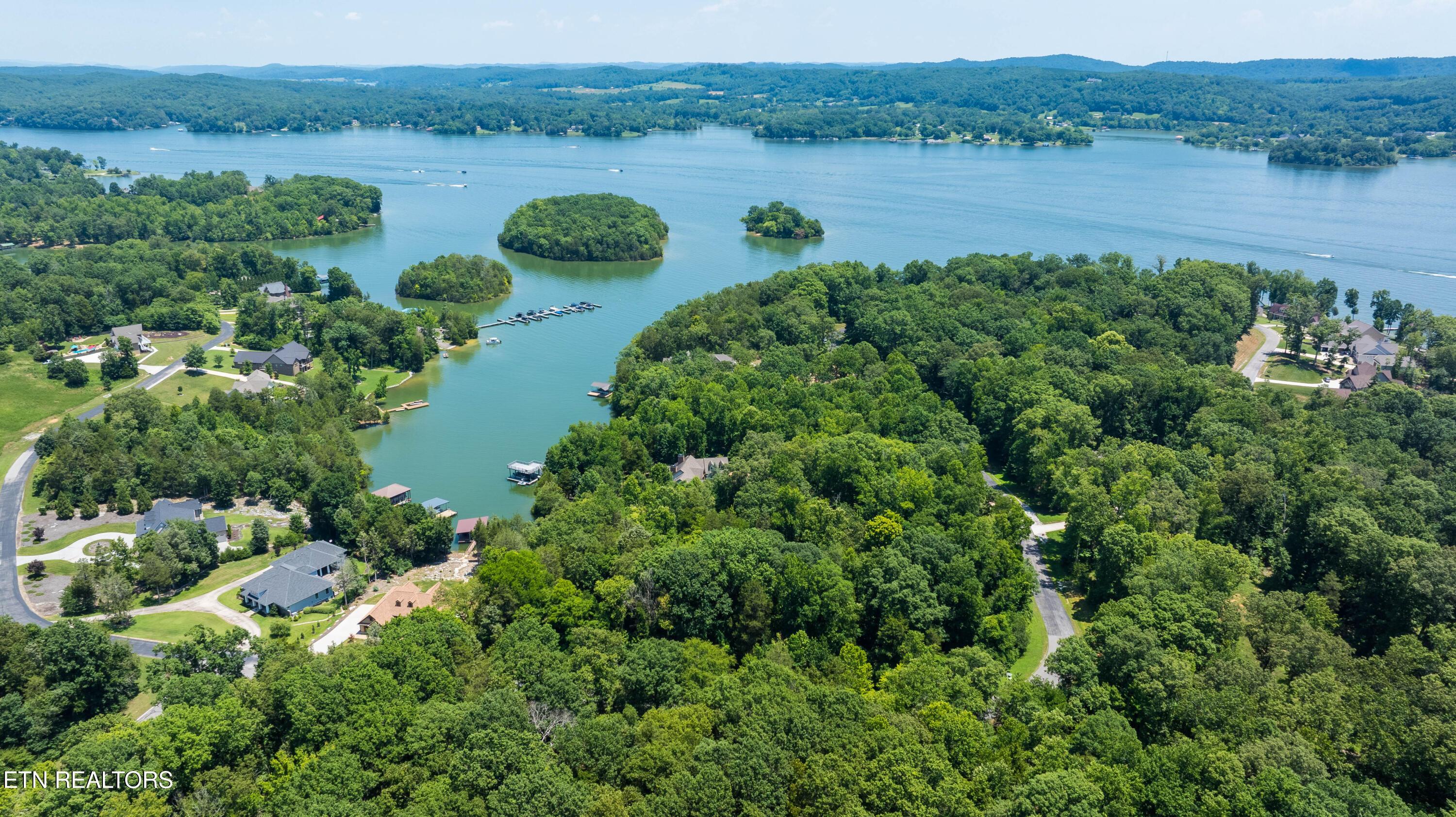 Image 4: 153 East Shore-4