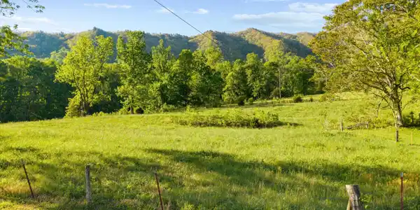 Image 4: 01-172 Pam Ln 01