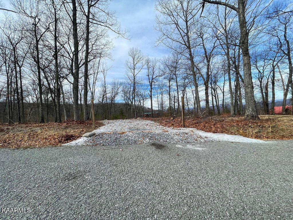 Image 3: IMG_6787~photo