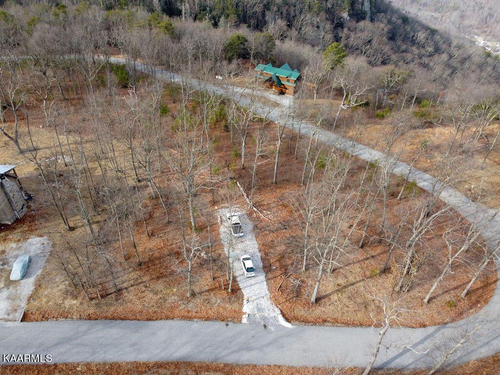 Image 4: DJI_0260