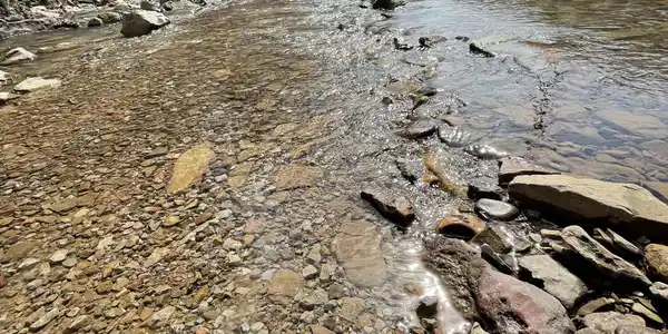 Skaggs Hollow Rd