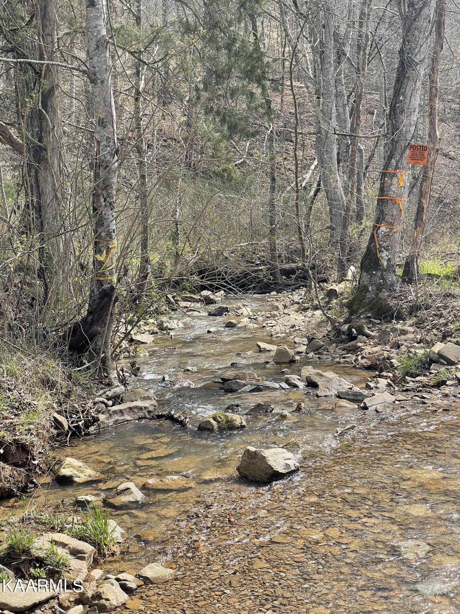 Image 4: 5805173B-C7AD-44A3-945D-1986F0E45638