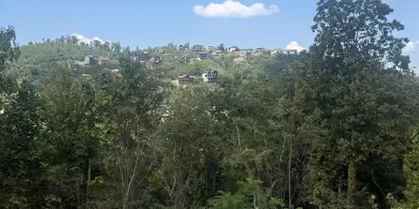 975 Cottage Gardens Way