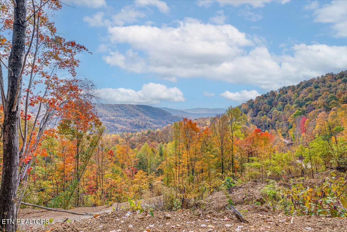 Image 1: 3-Extra View A3