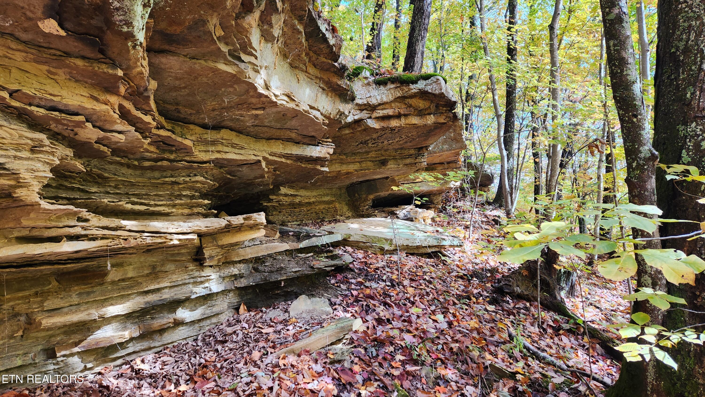 Image 4: 20251031_122218