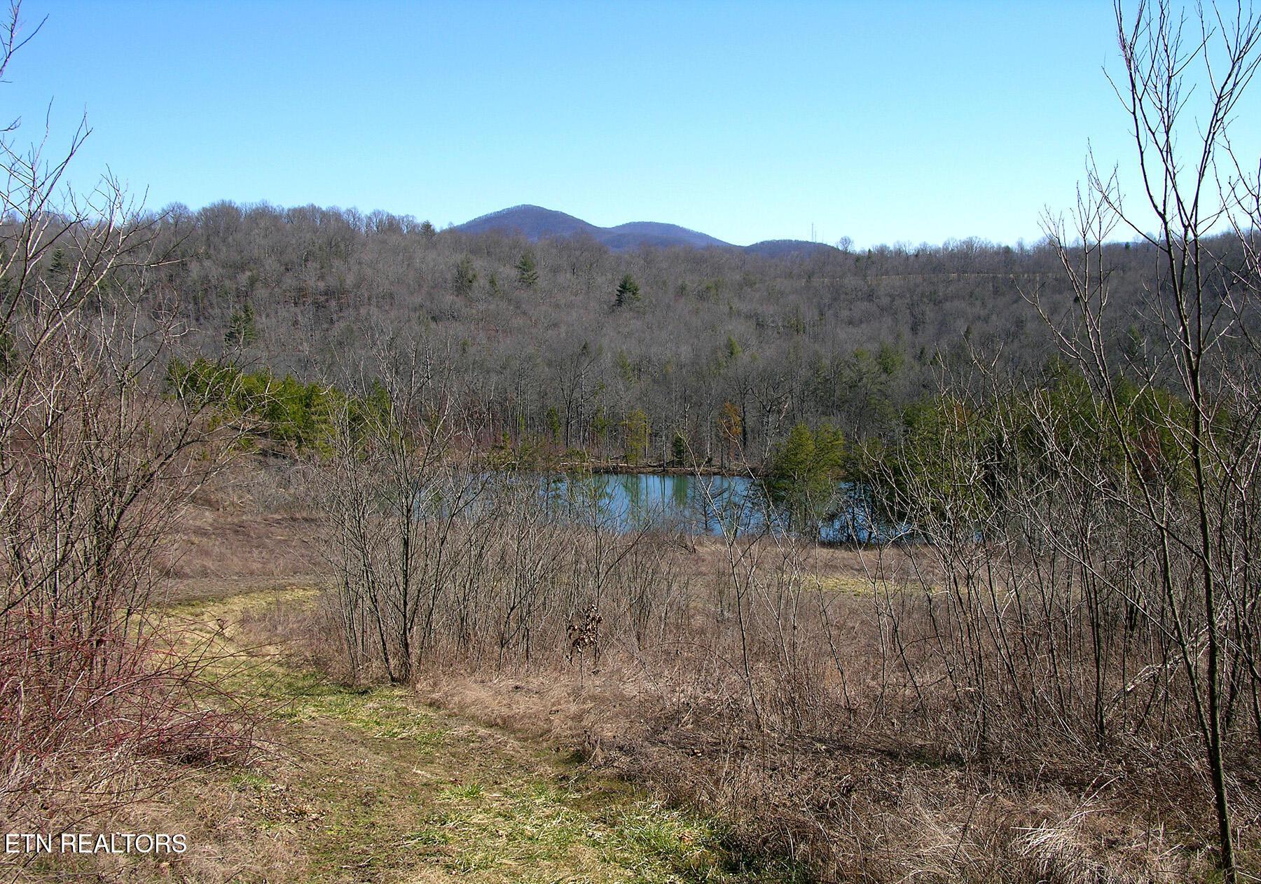 Image 1: LancingPondFromHill