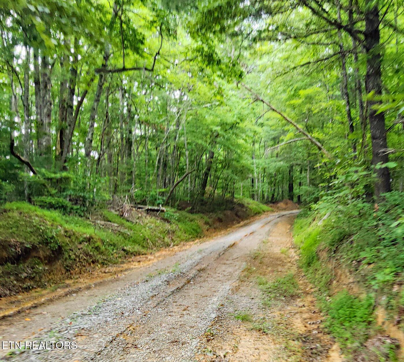 Image 3: Arthur McCormick Rd thru Sexton Prop 2