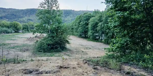 3134 Highway 297