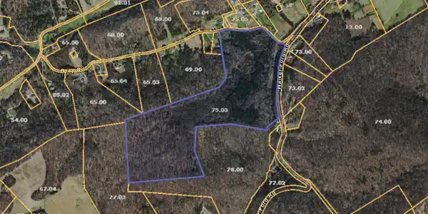 Image 2: Gray RD TN