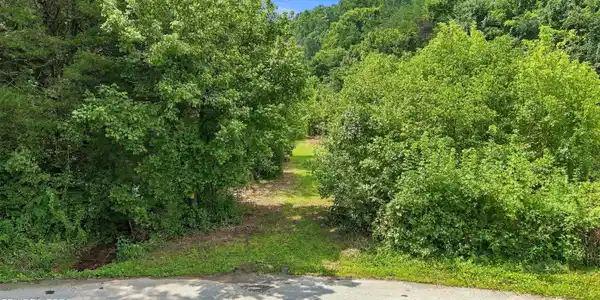 Image 3: Gray RD TN